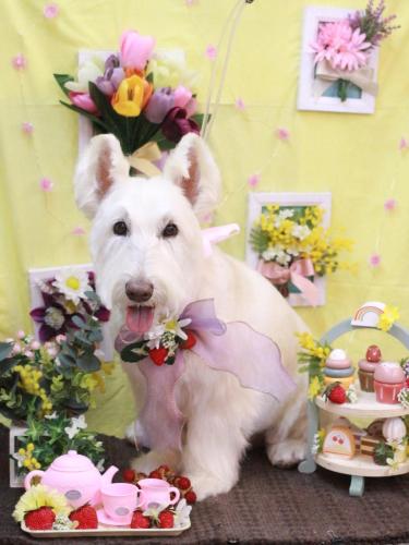 20230321ムーミンくん